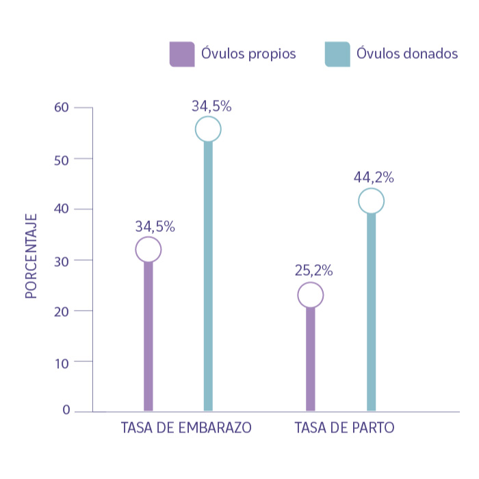 Sin-título-1