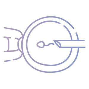icsi