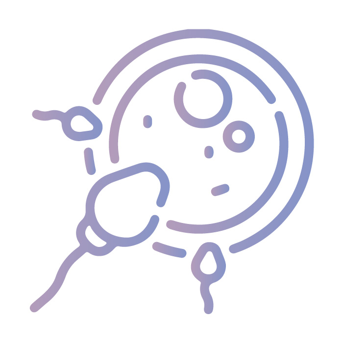 inseminacion
